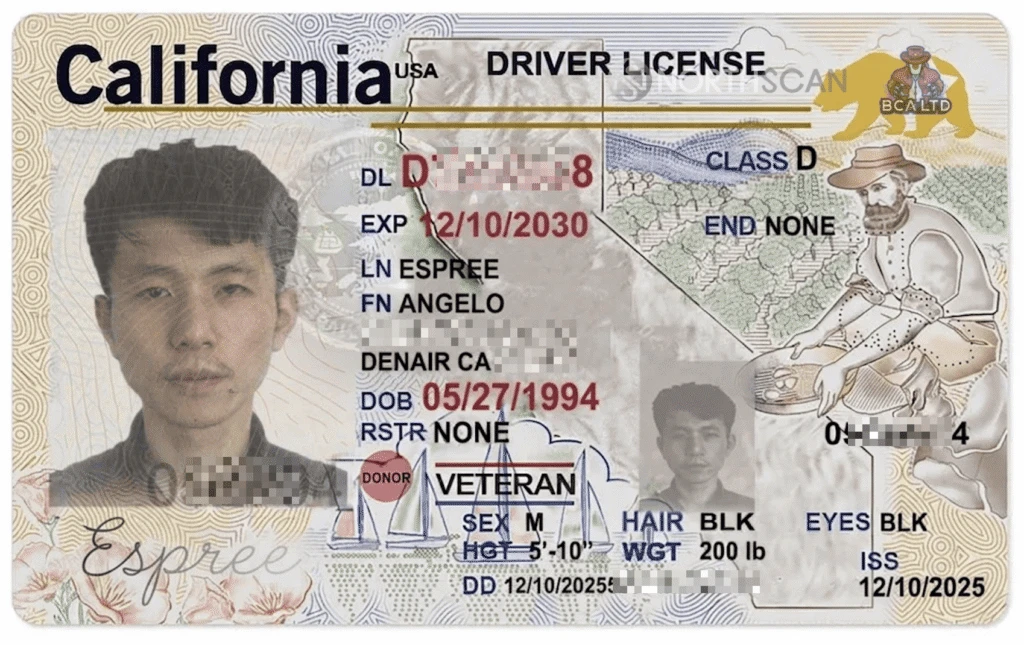 Angelo Espreeが提出したとされる運転免許証の画像（出典: ANY.RUN）