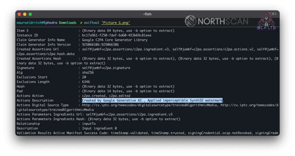 提出された免許証画像のメタデータ（EXIF）表示画面（出典: ANY.RUN）