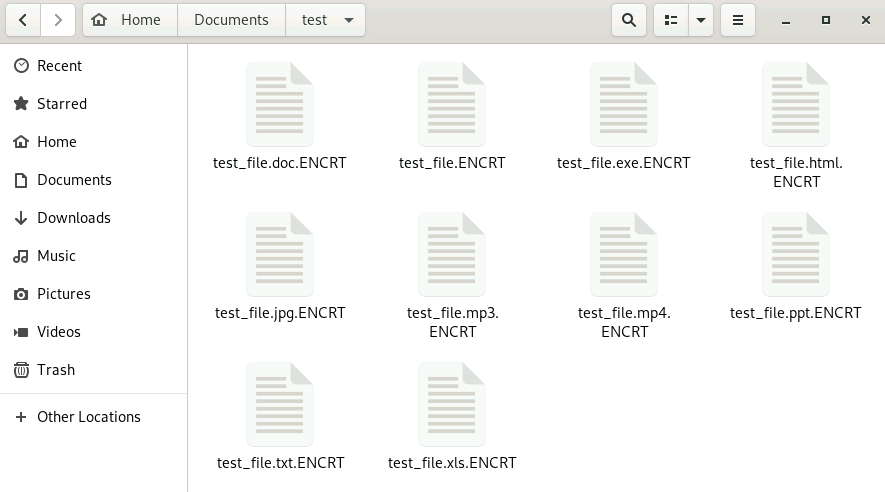 Gunraによって暗号化されたファイル一覧（出典: Trend Micro）